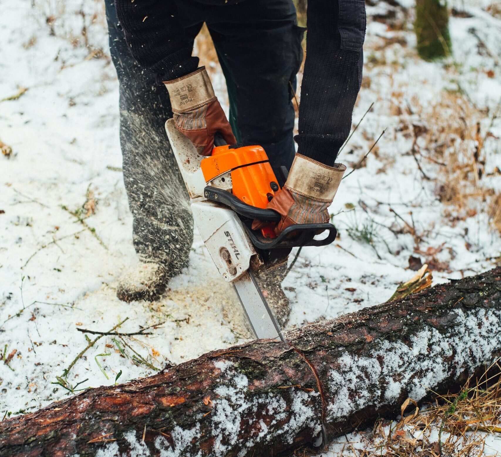 markus-spiske-M30X2OMeVoE-unsplash